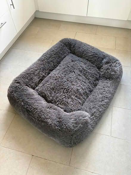 Photo of free Dog bed (Bathampton) #1