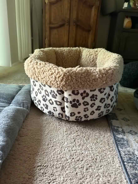 Photo of free pet bed (Alvarado-Niles) #1