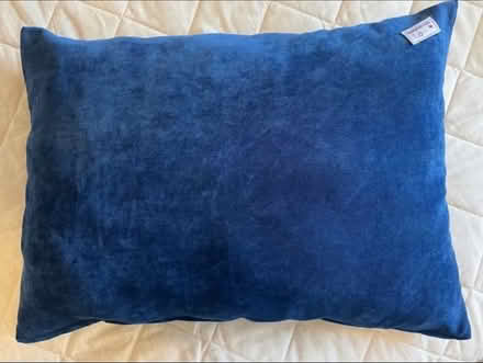 Photo of free Small dog pillow /childs play cushion (Ifton Heath SY11) #1