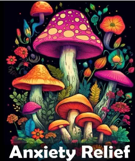 Photo of Adult colouring books (Windygates KY8) #1