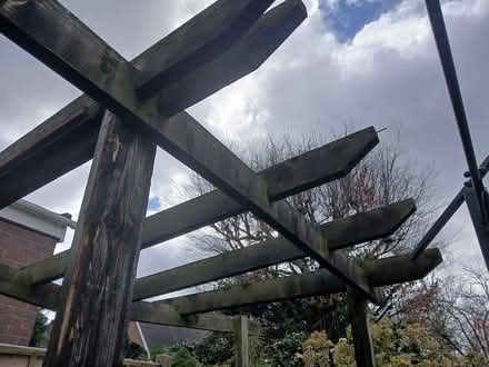 Photo of free Garden timber (Copthorne) #2