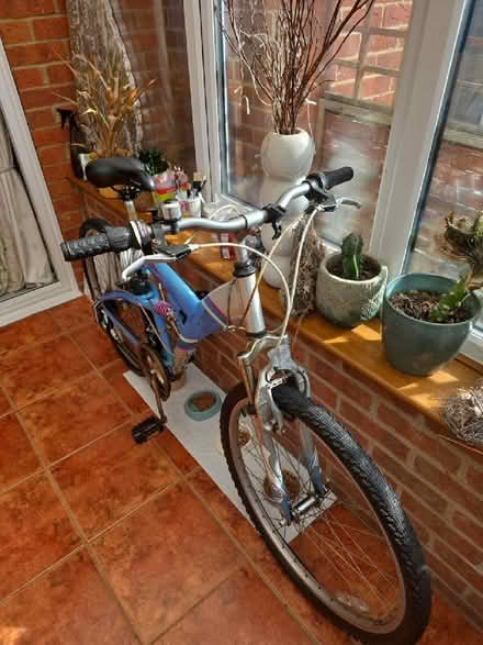 Photo of free Chairs & Bags of Books – LU2 (Warden Hill LU2) #3