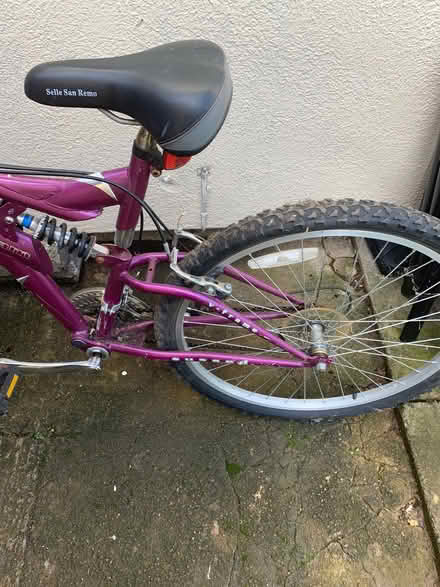 Photo of free Ladies bike (Bloomfield) #2