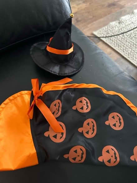 Photo of free Cat treatments plus tiny kitten Halloween outfit (Bannockburn FK7) #2