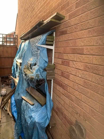 Photo of free Wood (Castle Bromwich B36) #2