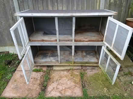 Photo of free Bluebell hutch (LU6 northall) #3