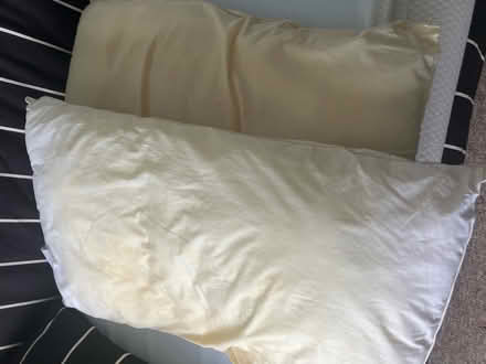 Photo of free Mattress topper & pillows (Surbiton KT5) #2