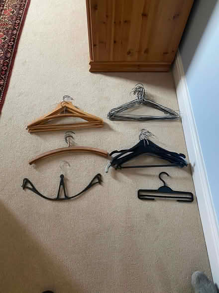 Photo of free 33 Clothes Hangers (Tondu CF32) #1