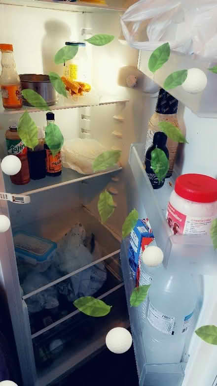 Photo of free Lader fridge, (Hillfields CV1) #2