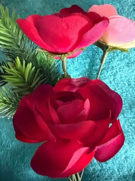 Photo of free Artificial Flowers (Westbury BA13) #2