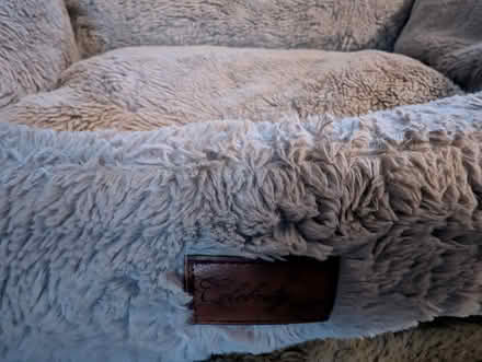 Photo of free Fluffy grey dog or cat bed (Hoddesdon EN11) #3