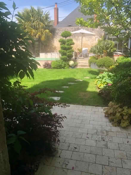 Photo of free Wax burner and melts (Greenstead CO4) #3