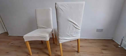 Photo of free Dining chairs, beechwood (Pimlico SW1V) #1