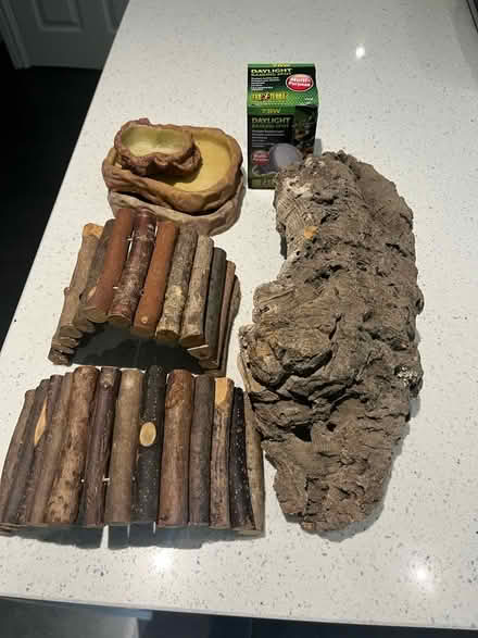 Photo of free Some reptile bits. (Childwall L16) #1