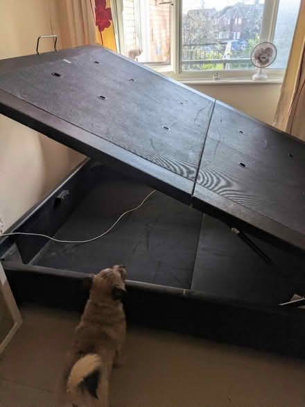 Photo of free Storage bed (Kingshurst B37) #3