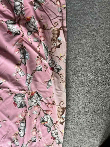 Photo of free Children’s kitten curtains (Bromley BR1) #2