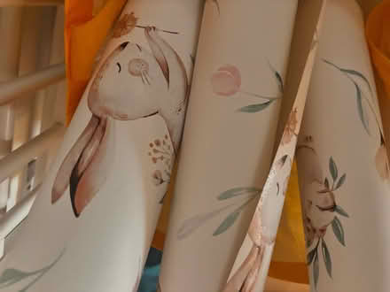 Photo of free Unused bunny wallpaper (Filwood Ward BS4) #2