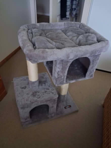 Photo of free Cat condo on 2 levels. (Glenrothes KY7) #1