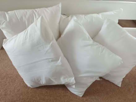 Photo of free Cushion inserts - no covers (Cherry Hinton Ward CB1) #1