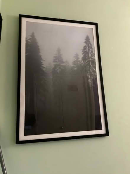 Photo of free 2 woodland framed pictures (Bracknell RG12) #2