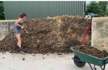 Photo of Well-Rotted Horse Manure (Harrogate HG1) #1