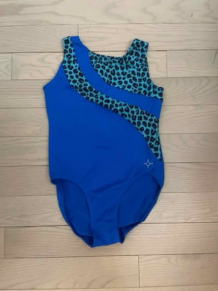 Photo of free Blue Leotard (Kennedy/16th in Markham) #2