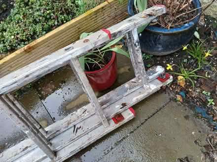 Photo of free Aluminium extending ladders (Jenny Lind G46) #2