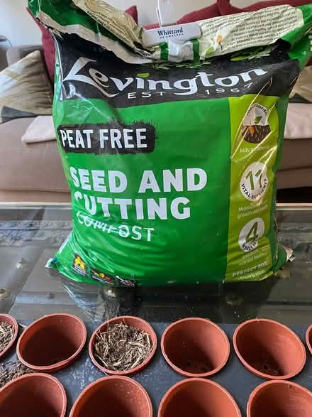 Photo of free Seed starter kit (Chiswick) #2