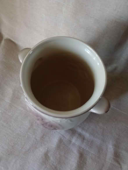 Photo of free Vase (Kingsway) #2