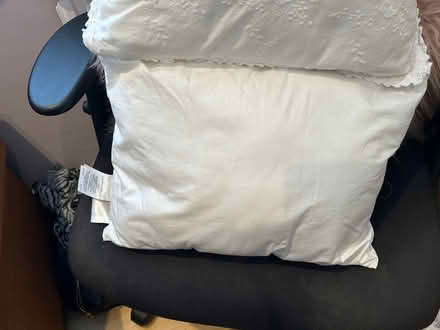 Photo of free 2 Cushion pad + 1 cover (Worsley M28) #3