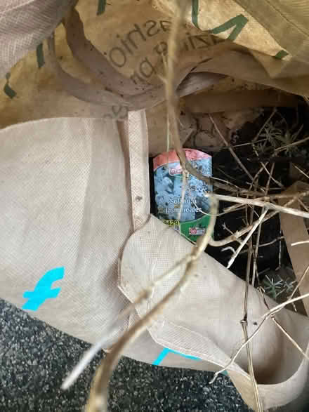 Photo of free Wooden plant boxes (Shirley CR0) #4