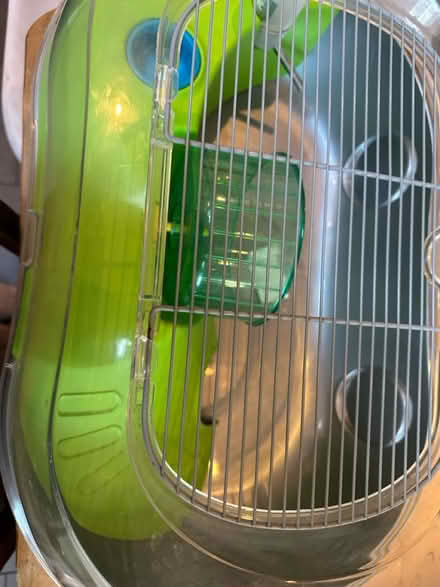 Photo of free Hamster cage (AL1 4QN) #3