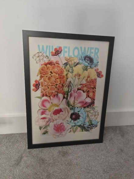Photo of free Wildflower picture in black frame (Hornsey N8) #1