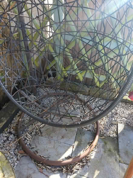 Photo of free Garden egg chair (Sheffield intake S12) #2