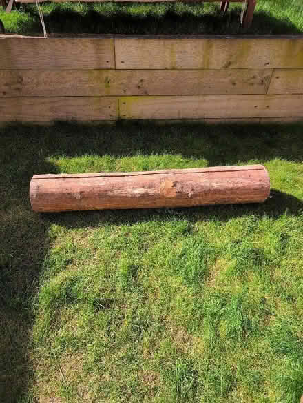 Photo of free Wood (Chattenden ME3) #1