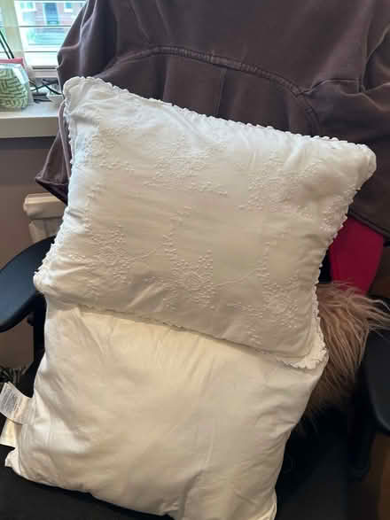 Photo of free 2 Cushion pad + 1 cover (Worsley M28) #1