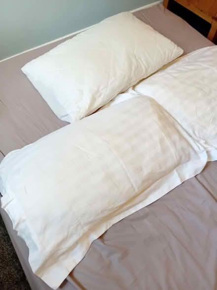 Photo of free Plump and squishy pillows! (Kingston Vale SW15) #2