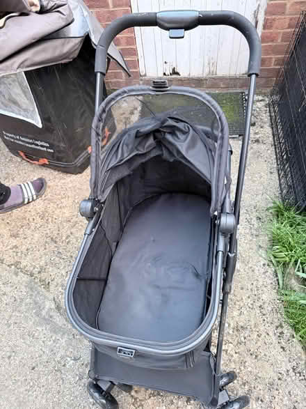 Photo of free Dog transport (Priory close) #3