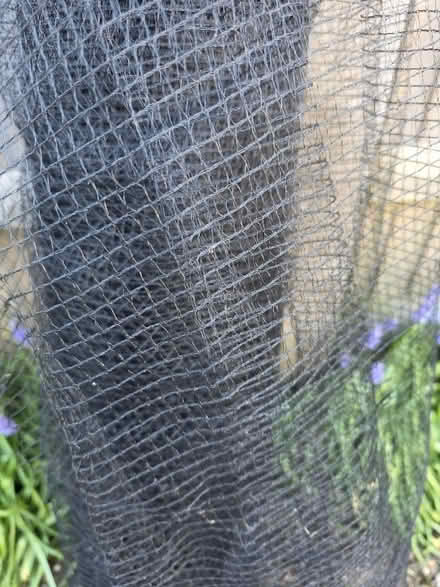 Photo of free Roll of black garden netting (Windsor SL4) #2