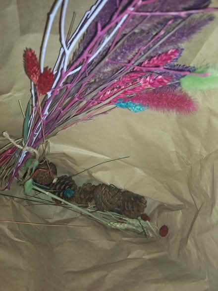 Photo of free Dried dyed grasses and pine cones (Newport Pagnell MK16) #1