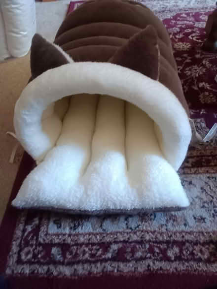 Photo of free Large Cat Bed (Locks Heath SO31) #1