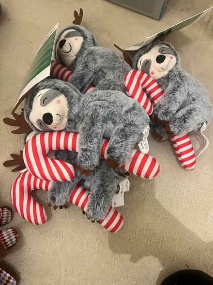 Photo of free Dog items (Windsor) #2