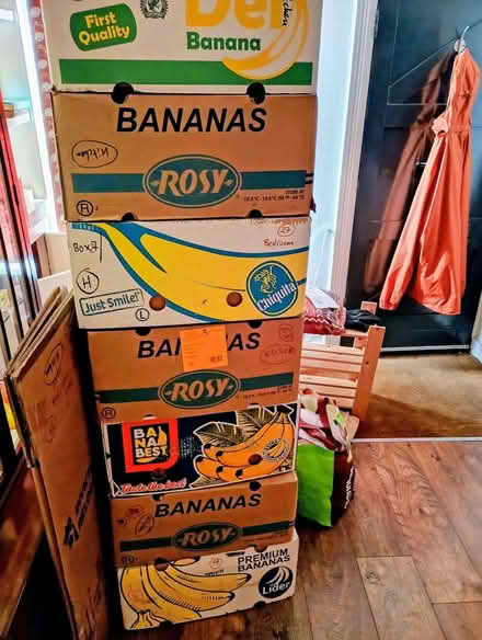 Photo of free Banana boxes for moving/storing (Salisbury SP1) #1