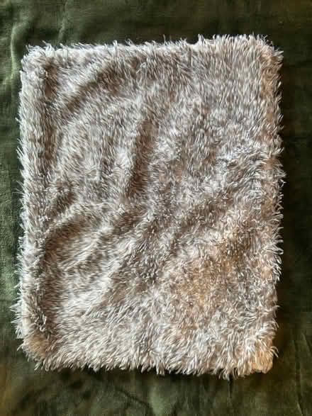 Photo of free 3 cushion covers (Islington North N4) #4