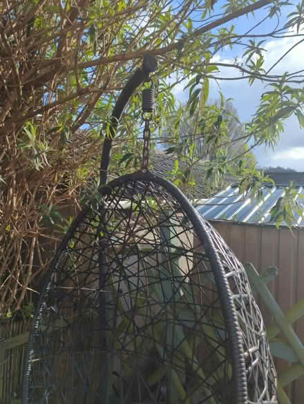 Photo of free Garden egg chair (Sheffield intake S12) #3