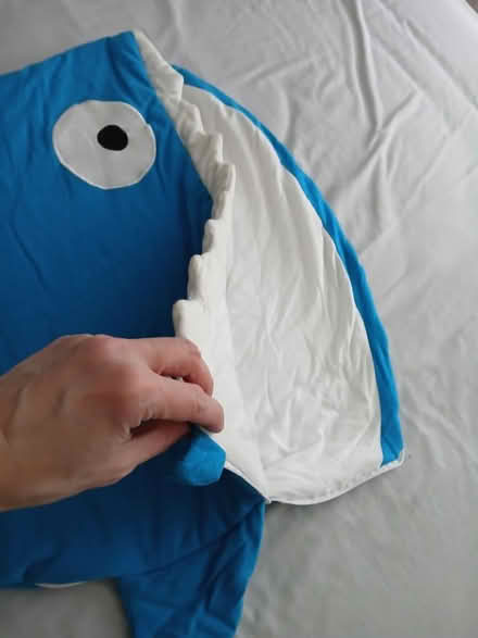 Photo of free Baby shark sleeping bag (Blackbird Leys OX4) #2