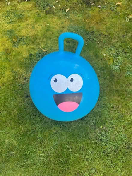 Photo of free Slide, space hopper and bubble mow (Addlestone) #2