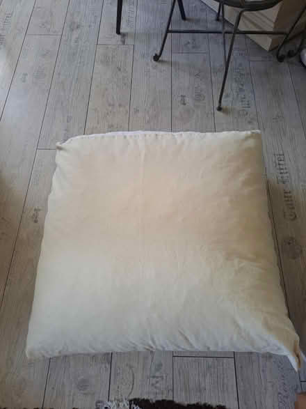 Photo of free Large Floor Cushions x2 - Brockley (Crofton Park, Brockley) #1