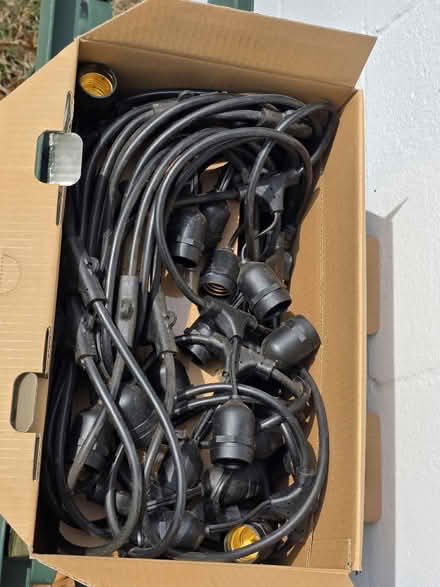 Photo of free Outdoor Led String Lights (Millersville) #2