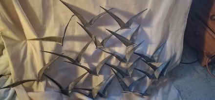 Photo of free Metal bird themed wall decoration (Pr2 fulwood) #1